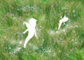Fairies on the grass