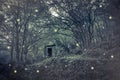 Fairies house in the wood
