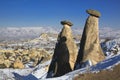 Fairly chimney in Cappadocia Royalty Free Stock Photo