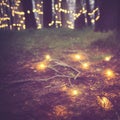 Evening forest, blur bokeh with fairy string lights on ground