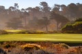 Fairway view of golf course in Pebble Beach California Royalty Free Stock Photo