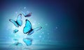 Fairy Blue Butterflies On Water Royalty Free Stock Photo