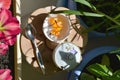 Fairy breakfast among flowers. Tiny dishware on wooden table in small garden on the balcony.