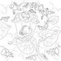 Fairy cartoon character. Firefly Fairy sleeping in the leaves. Page coloring book. Vector isolated.