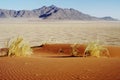 Fairy circles in desert, Namibia Royalty Free Stock Photo