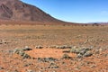 Fairy Circles - Namibia Royalty Free Stock Photo