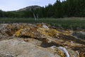 Fairy Creek Little Firehole trail