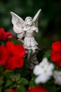 Fairy Figurine Among Flowers