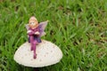 A fairy figurine on a mushroom in the garden