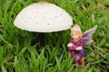 A fairy figurine and a mushroom