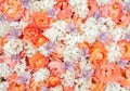 Fairy floral background with orange roses, white hydrangea and purple bells for artistic design template of cards, invitations, Royalty Free Stock Photo