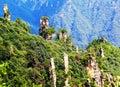 Fairy flowers in Tianzi mountain