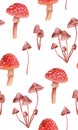 Fairy fly agaric and toadstool pattern. Woodland red mushroom and grebe background. Magic amanita dabchick