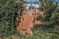 A fairy gate to the secret garden. Abandoned overgrown garden Royalty Free Stock Photo