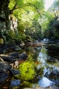 The Fairy Glen