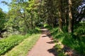 Fairy Glen Footpaths that Run Through Scottlands Forrest Paths