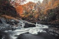 Fairy Glen Gorge Waterfall at Autumn in North Wales, UK Royalty Free Stock Photo