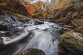 Fairy Glen Gorge Waterfall at Autumn in North Wales, UK Royalty Free Stock Photo