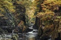 Fairy Glen Gorge Waterfall at Autumn in North Wales, UK Royalty Free Stock Photo