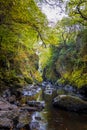 Fairy glen wales