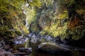 Fairy glen wales