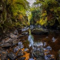 Fairy glen wales