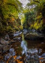 Fairy glen wales