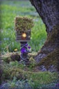 Fairy house with fairy lights next to mossy apple tree