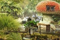 Fairy house (mushroom)