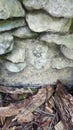 Fairy impression in rock