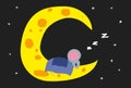 Fairy little mouse is sleeping on moon cheese.