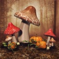 Fairy mushrooms and pumpkins