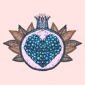 Fairy pomegranates graphic vector collection, hand drawn sketches