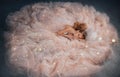 Fairy queen fashion model in luxurious shining pink dress posing in studio. Princess girl, peach outfit with sequins Royalty Free Stock Photo