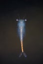 Fairy Shrimp Eubranchipus grubii close up. Underwater photography Royalty Free Stock Photo