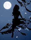 Fairy silhouette in night sky Royalty Free Stock Photo