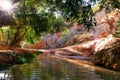 Fairy Stream Canyon. Red river between rocks and jungle. Mui Ne. Vietnam