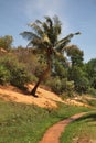 Fairy Stream - Red Canyon between Phan Thiet and Mui Ne. Vietnam Royalty Free Stock Photo