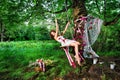 Fairy swinging on teeterboard