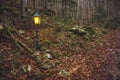 Fairy tale autumn forest picturesque natural moody colorful environment with lantern landscaping object with yellow illumination