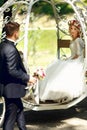 Fairy-tale cinderella wedding carriage magical wedding couple br Royalty Free Stock Photo