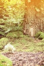 Fairy tale door Royalty Free Stock Photo