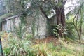 Fairy-tale house in the forest. Autumn in Wicklow, Ireland