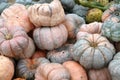 Fairy Tale Pumpkin Winter Squash