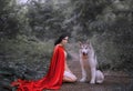 Fairy tale about red cap, dark-haired girl on ground in thick forest in short white light dress, long scarlet cloak