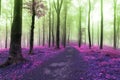 Fairy tale trail into the forest. Magical colors of other worlds Royalty Free Stock Photo