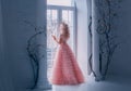 Fairy tale woman princess turned away enjoy view from window. Beautiful carnival pink air tulle, lush full gown. Blond