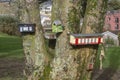 Fairy Trail ornamentation on the hugh trunk of an old Ash tree