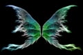 Fairy wings Royalty Free Stock Photo