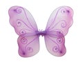 Fairy Wings Royalty Free Stock Photo